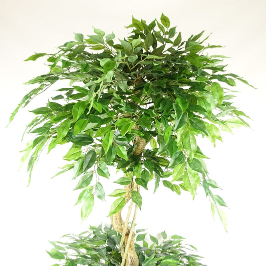 Artificial Twisted Trunk Fruticosa Ficus Tree (180cm)