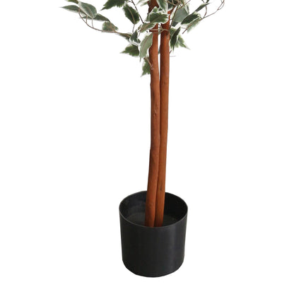 Artificial Ficus with Natural Variegated Leaves (160cm)