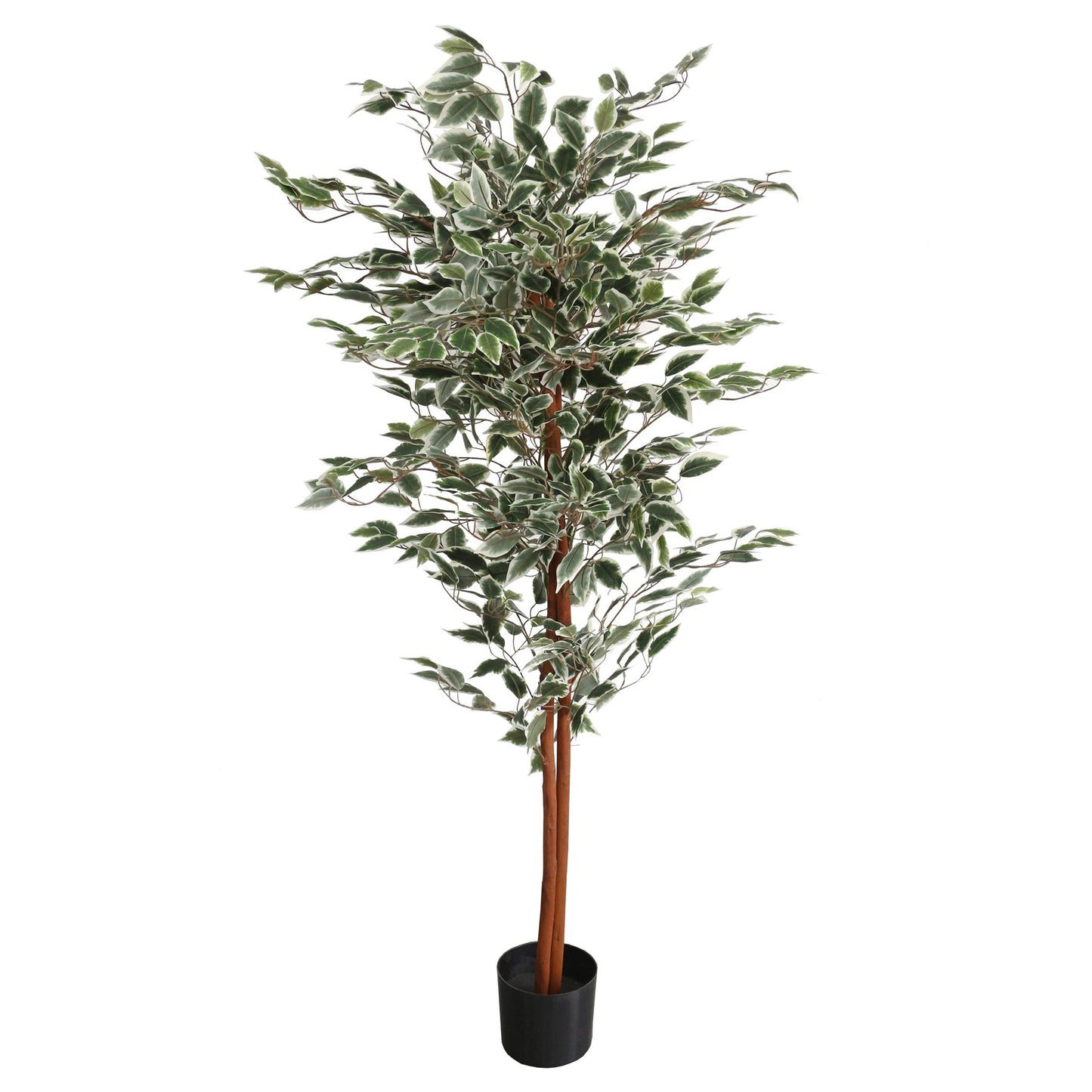 Artificial Ficus with Natural Variegated Leaves (160cm)