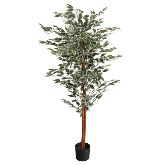 Artificial Ficus with Natural Variegated Leaves (160cm)