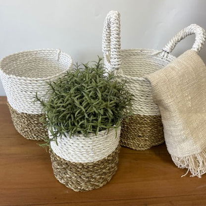 Seagrass Basket - Set of 3