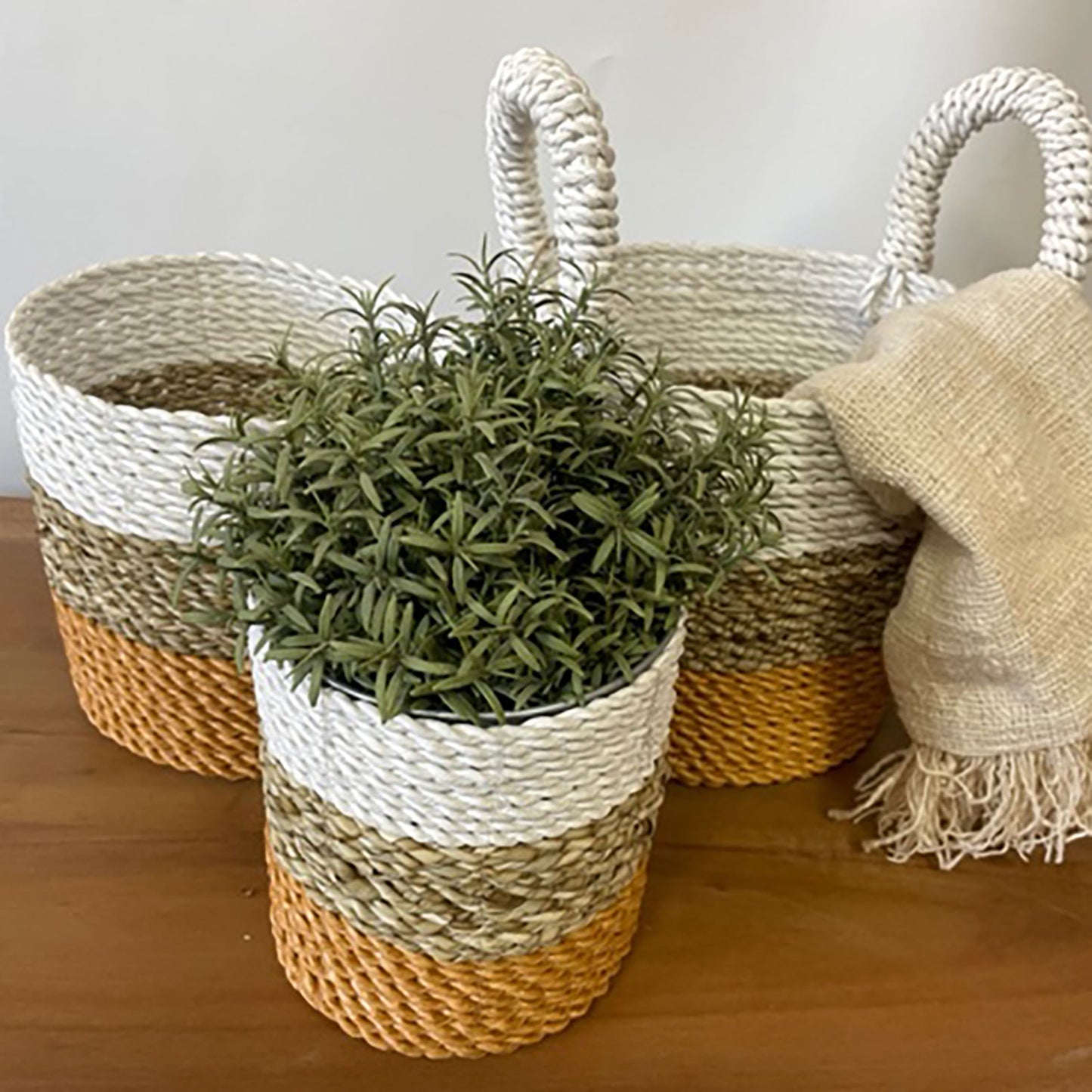 Seagrass Basket - Set of 3